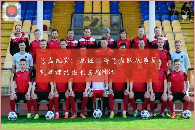 飞盘纪实：见证上海飞盘队从萌芽到辉煌的成长历程MBA