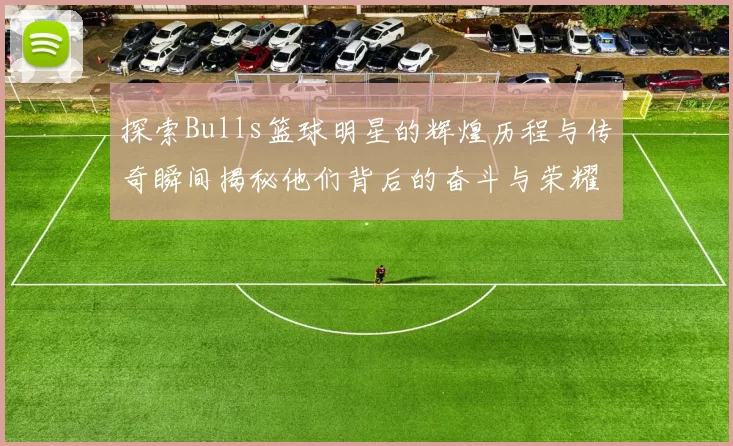 探索Bulls篮球明星的辉煌历程与传奇瞬间揭秘他们背后的奋斗与荣耀