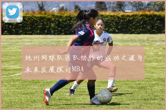 杭州网球队团队协作的成功之道与未来发展探讨MBA