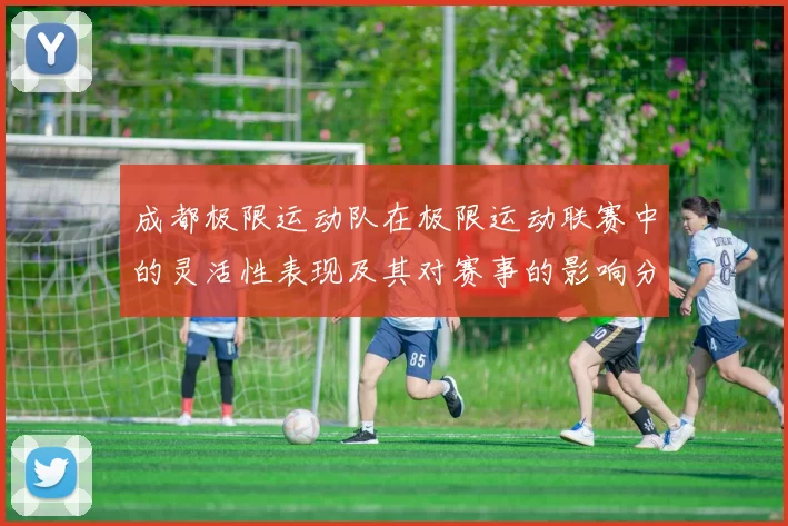 成都极限运动队在极限运动联赛中的灵活性表现及其对赛事的影响分析MBA