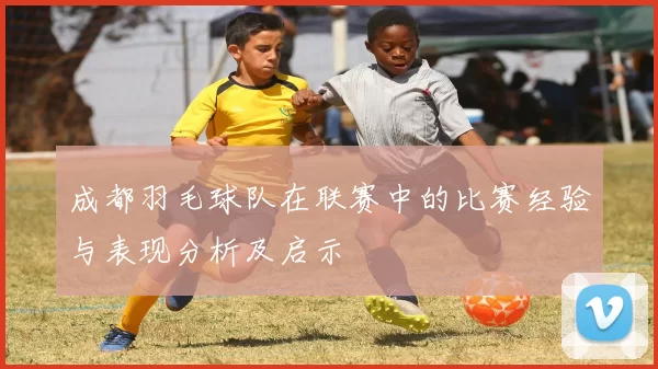 成都羽毛球队在联赛中的比赛经验与表现分析及启示